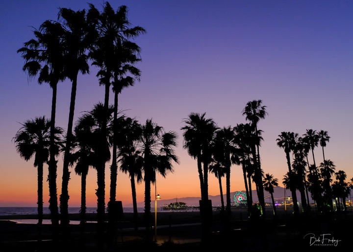 PIer & Palms vivid twilight-1